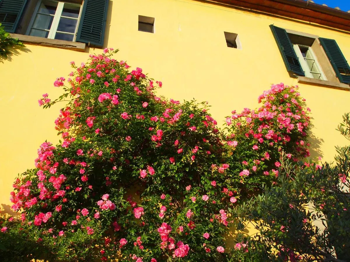 Il Sole Del Sodo Pensionat Cortona Lantställe
