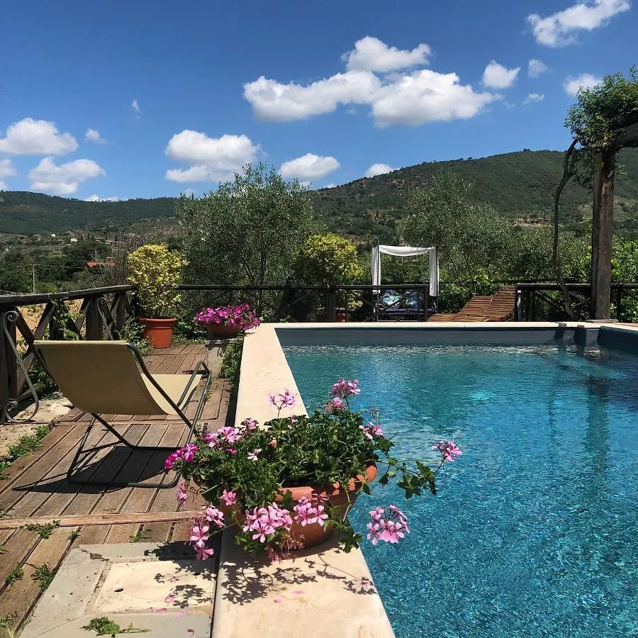 Il Sole Del Sodo Pensionat Cortona