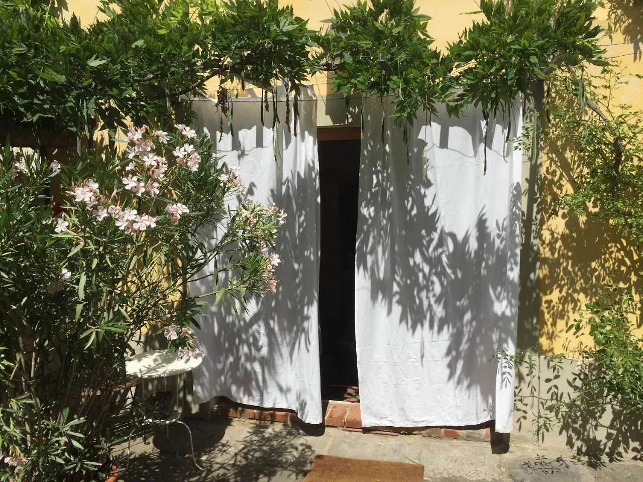 Il Sole Del Sodo Pensionat Cortona Lantställe